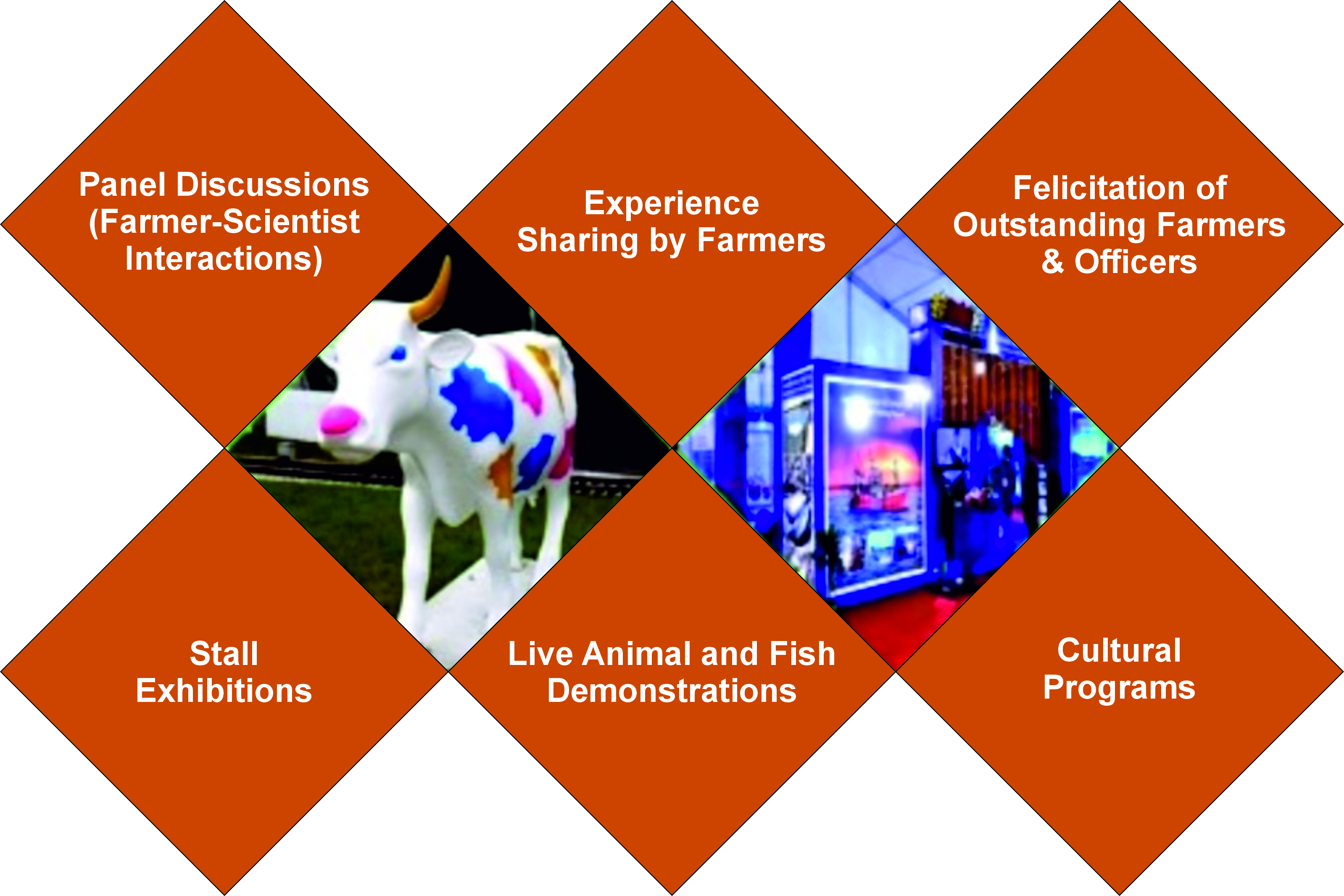 exciting-events-image